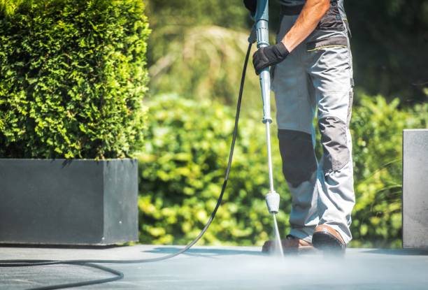 Animal Enclosure Cleaning in Phoenix, IL